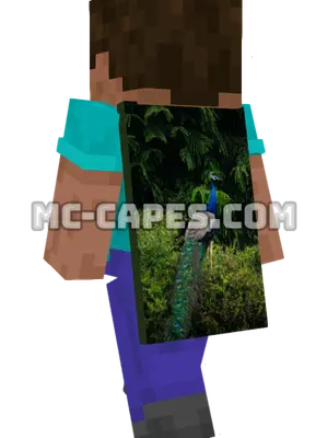 Peacock Minecraft cape worn on a player