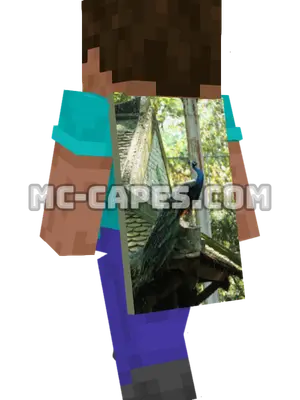 Peacock Minecraft cape worn on a player