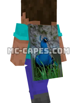 Peacock Display Minecraft cape worn on a player