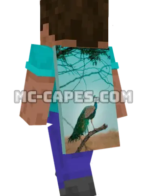 Peacock on Branch Minecraft cape worn on a player