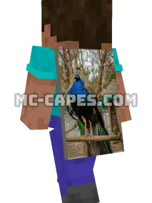 Peacock Perched Minecraft cape worn on a player