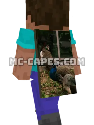 Peacocks Building Minecraft cape worn on a player