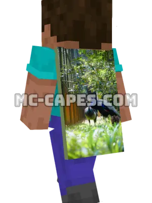 Peacocks in Aviary Minecraft cape worn on a player