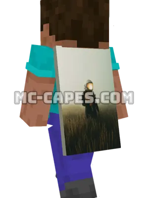 Person in Field Minecraft cape worn on a player