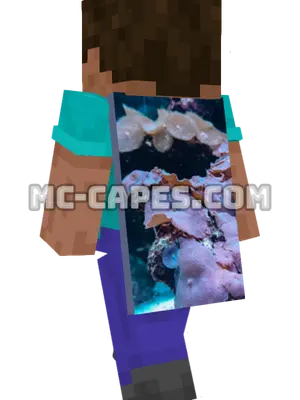 Pink Coral Reef Minecraft cape worn on a player