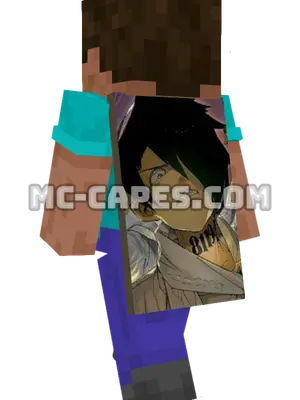 Ray Minecraft cape worn on a player