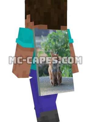 Red Fox Minecraft cape worn on a player