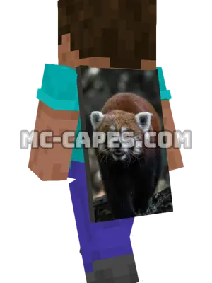Red Panda Minecraft cape worn on a player