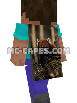 Red Panda on Branch Minecraft cape worn on a player