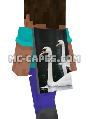River Swans Minecraft cape worn on a player