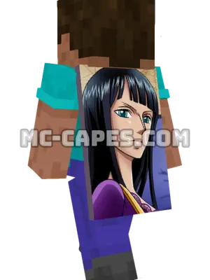Robin Nico Minecraft cape worn on a player