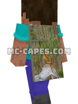 Rock Fox Minecraft cape worn on a player