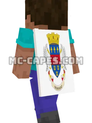 Saint Barthélemy Flag Minecraft cape worn on a player