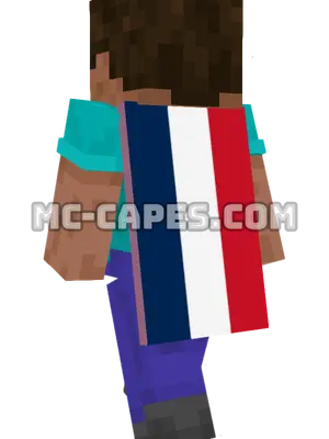 Saint Martin Flag Minecraft cape worn on a player