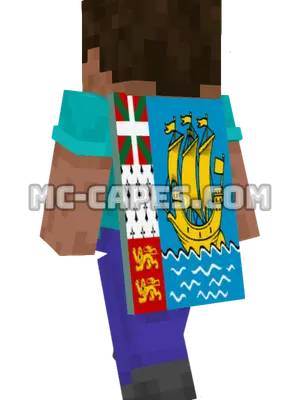 Saint Pierre and Miquelon Flag Minecraft cape worn on a player