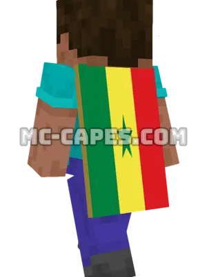Senegal Flag Minecraft cape worn on a player