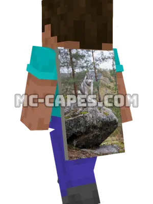 Siberian Husky Minecraft cape worn on a player