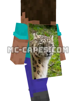 Snow Leopard Minecraft cape worn on a player