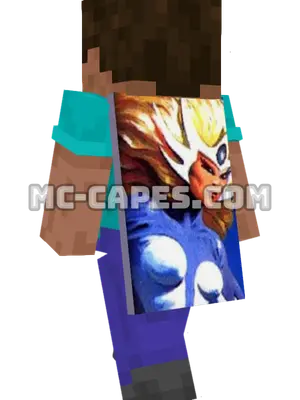 Snowbird Minecraft cape worn on a player