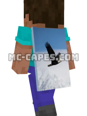 Soaring Eagle Minecraft cape worn on a player