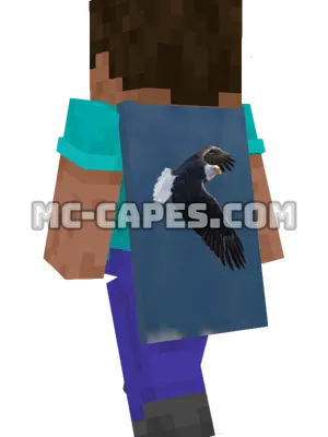 Soaring Eagle Minecraft cape worn on a player
