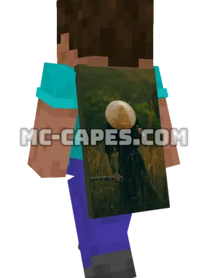 Straw Hat Samurai Minecraft cape worn on a player