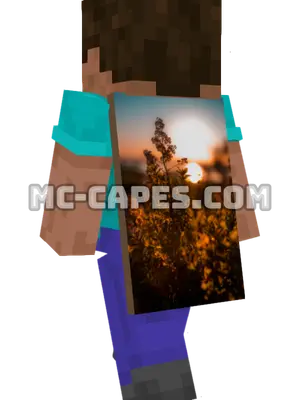 Sunset Plant Minecraft cape worn on a player
