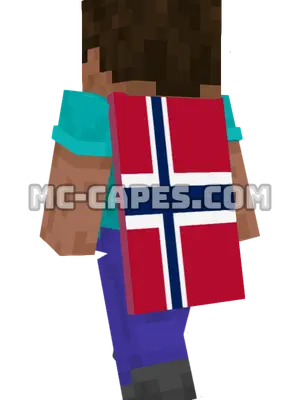 Svalbard and Jan Mayen Flag Minecraft cape worn on a player