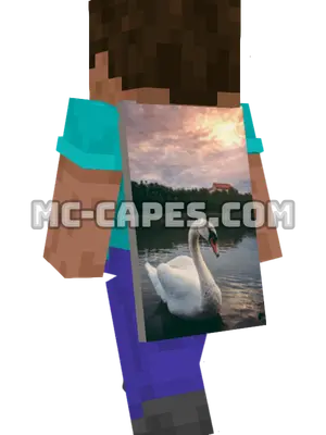 Swan on Lake Minecraft cape worn on a player
