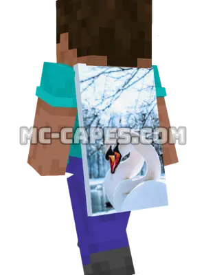 Swan on Snow Minecraft cape worn on a player