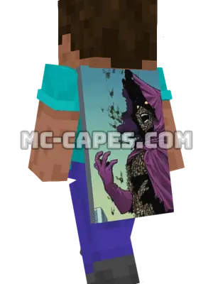 Swarm Minecraft cape worn on a player