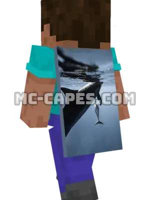 Swimming Dolphins Minecraft cape worn on a player