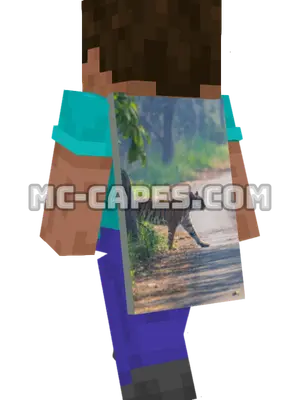 Tiger Minecraft cape worn on a player