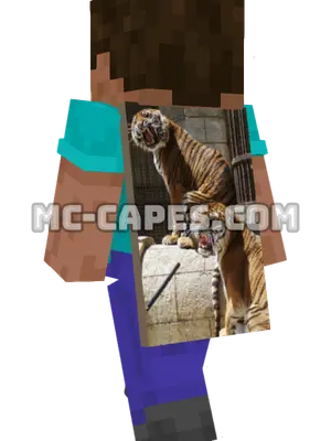 Tiger Pair Minecraft cape worn on a player