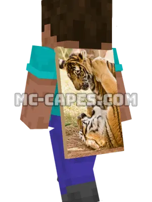 Tigers Playing Minecraft cape worn on a player