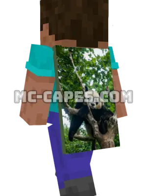Tree Panda Minecraft cape worn on a player