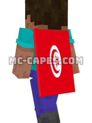 Tunisia Flag Minecraft cape worn on a player