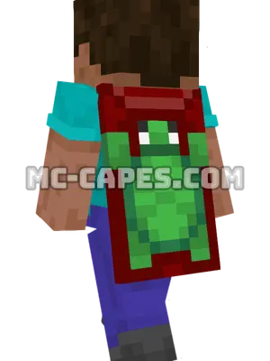 Turtle Minecraft cape worn on a player