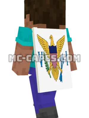 United States Virgin Islands Flag Minecraft cape worn on a player