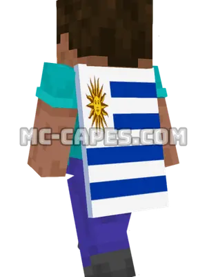 Uruguay Flag Minecraft cape worn on a player