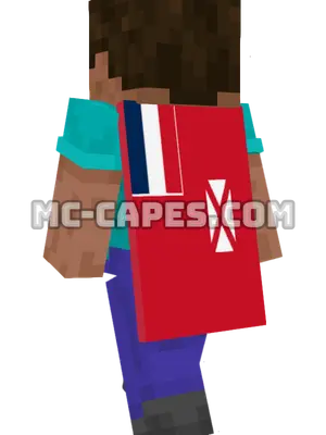 Wallis and Futuna Flag Minecraft cape worn on a player
