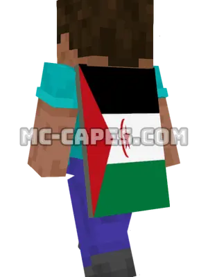 Western Sahara Flag Minecraft cape worn on a player