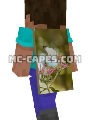 White Butterfly Minecraft cape worn on a player
