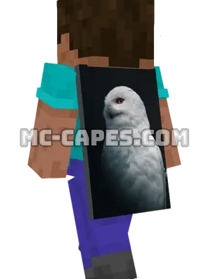 White Owl Minecraft cape worn on a player