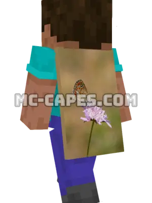 Wildflower Butterfly Minecraft cape worn on a player