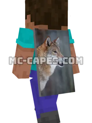 Winter Wolf Minecraft cape worn on a player