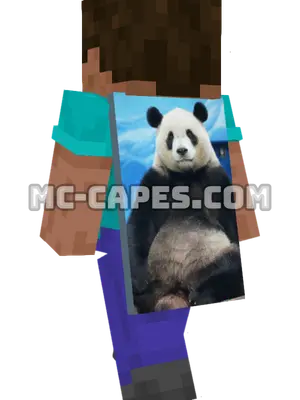 Zoo Panda Minecraft cape worn on a player