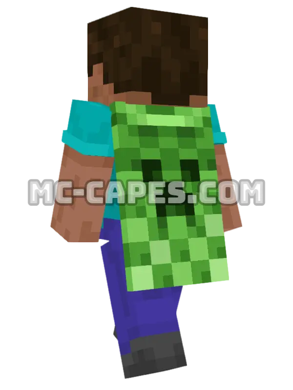15th Anniversary Minecraft cape worn on a player, seen from behind