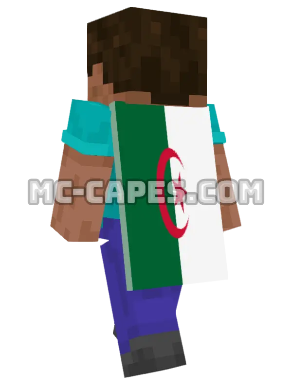 Algeria Flag Minecraft cape worn on a player, seen from behind