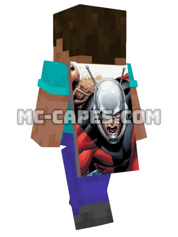 Ant-Man Minecraft cape worn on a player, seen from behind